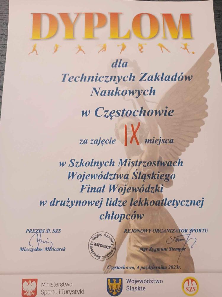 TZN IX w województwie śląskim 